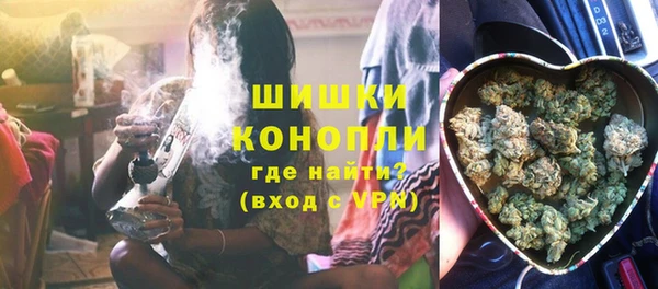 ECSTASY Белокуриха