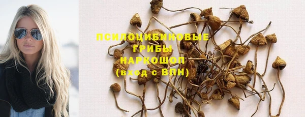 прущая мука Богородицк
