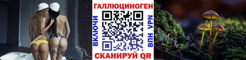 Псилоцибиновые грибы Psilocybe  Ковдор 